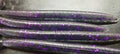 5" Senko Black Light