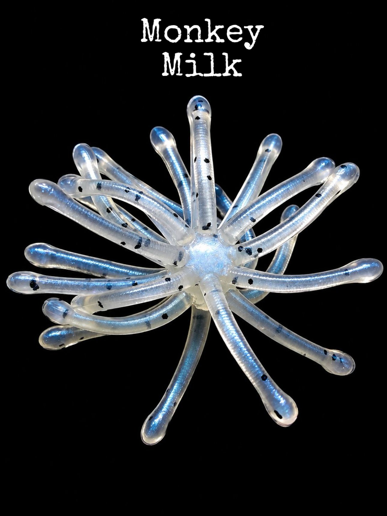 1.25” Micro Urchin Bait Mix&Match
