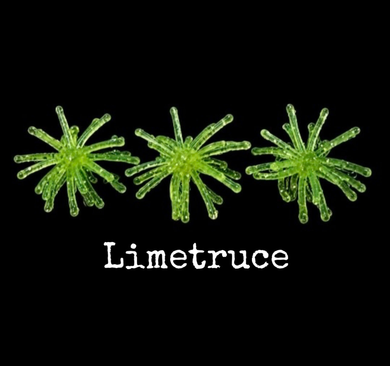 1.25” Micro Urchin Bait Mix&Match
